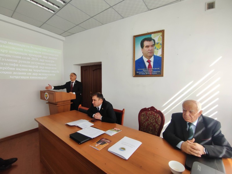Gallery Image 10